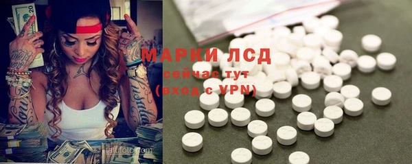 стаф Бронницы