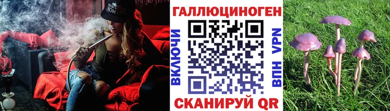 Галлюциногенные грибы MAGIC MUSHROOMS  Новодвинск 